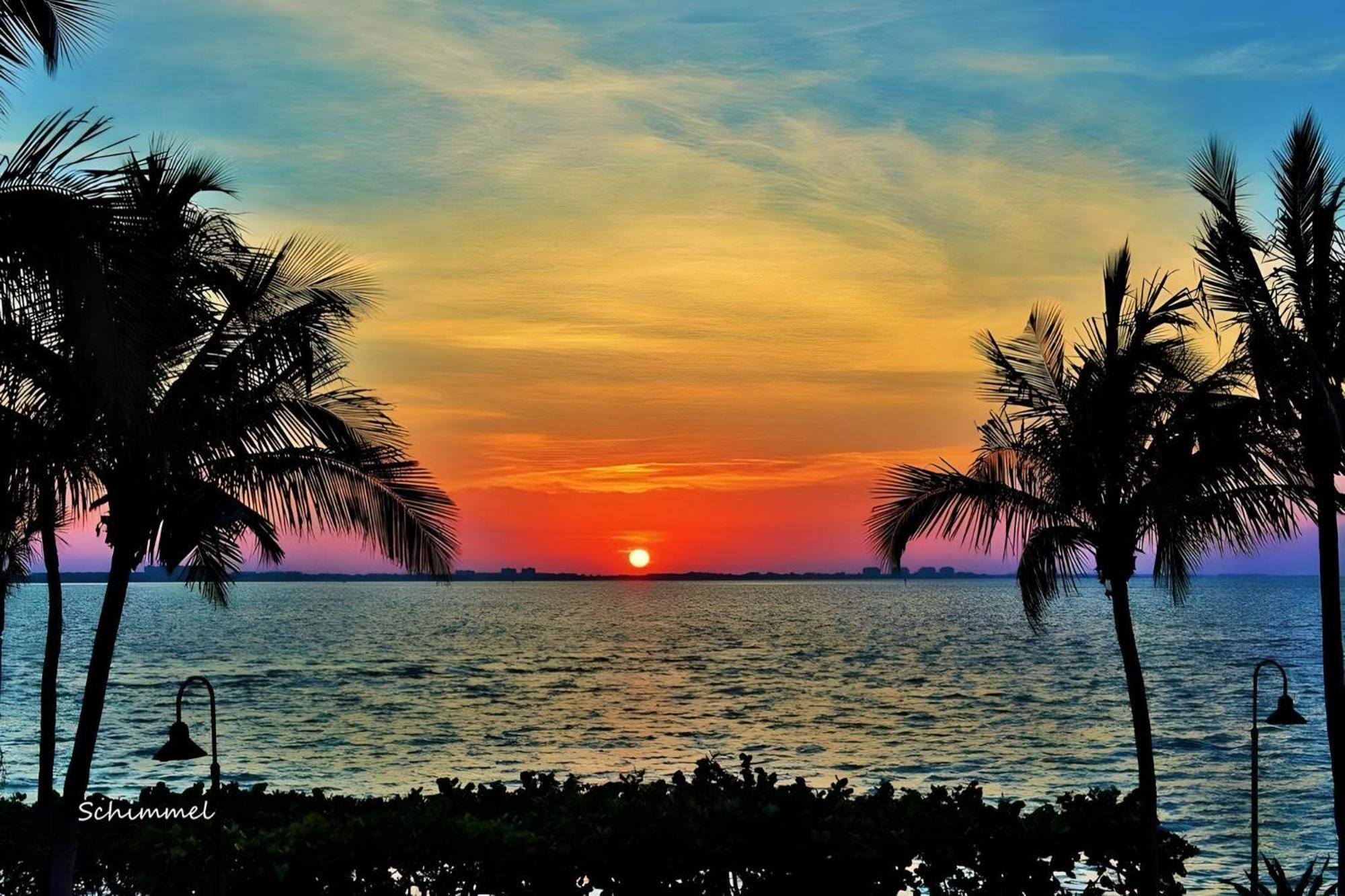 Luxury Zen Den With Heated Pool Just Off Siesta Key Apartment Sarasota Bagian luar foto
